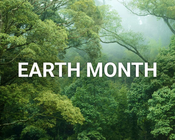 onetreeplanted's tweet image. Happy Earth Month!🌲🙌🌍

Our favorite way to celebrate is by planting trees!
We plant trees to:

🐝 Enhance biodiversity
🌱 Naturally regenerate landscapes
🌪 Prevent natural disasters
🥭 Stop hunger
🌿And so much more!

$1 = 1 tree planted🌲✌️🦌
onetreeplanted.org/products/earth…