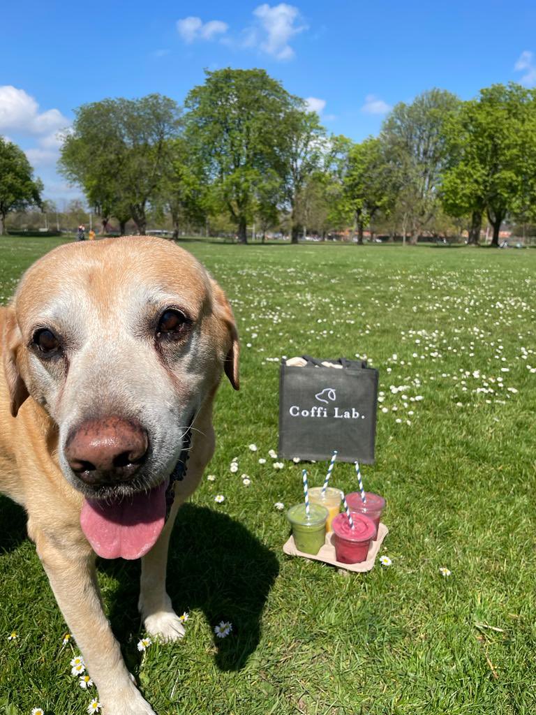 coffilab's tweet photo. Spring is in the air! All Labs now open longer on a Sunday* from 8.30am to 5.30pm to give you a little more time to #enjoythesimplethings. Yours.Faithfully โ๏ธ๐พ ๐งก
* except Abergavenny
#coffilab #coffee #coffeeanddogs #dogfriendlycoffeeshop #cardiffcoffee #springtime #spring https://t.co/ACS77YcdLf