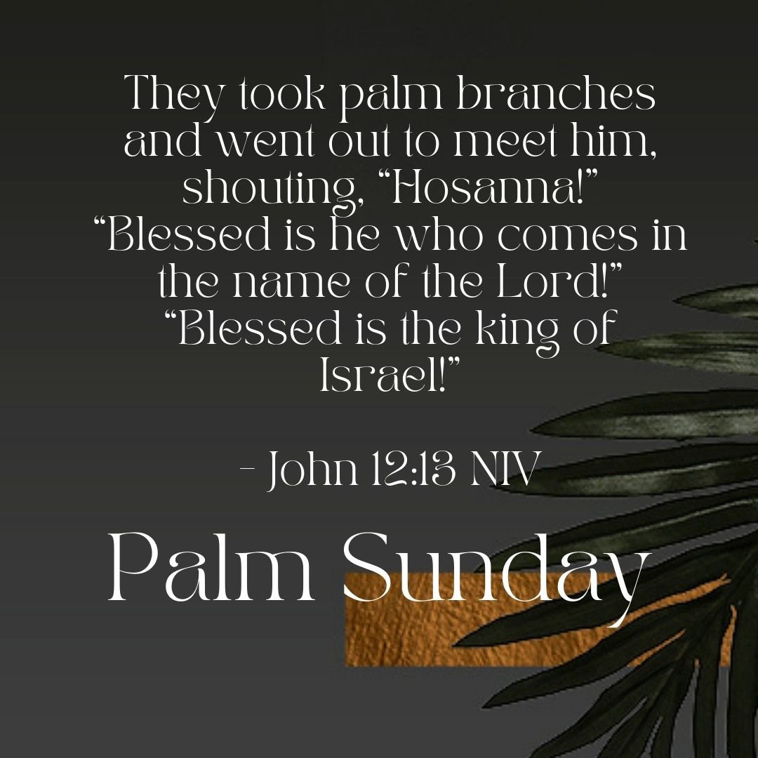 ccnorthpoint's tweet photo. https://t.co/h1E1lUI1Tq