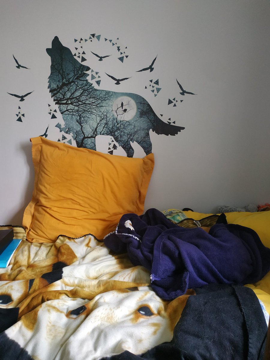 aslan_mon_lion's tweet image. Moman elle dit kele avait oublié ke j&apos;étais dans son lit. Je vois po pourquoi 🤔 
#chatcaché