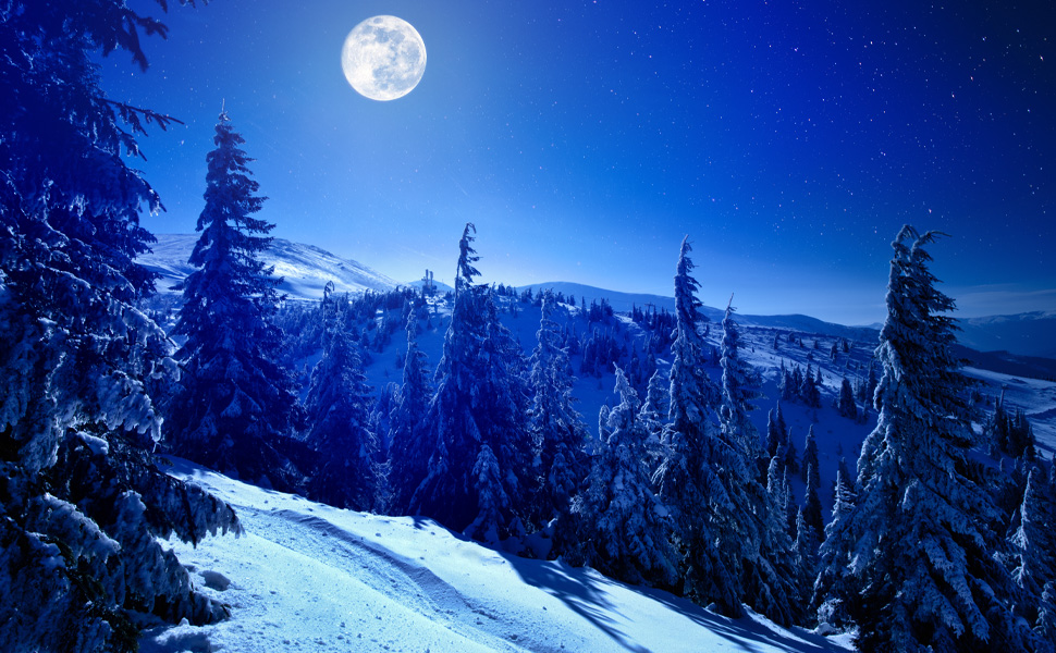 tenshinoshin's tweet photo. Day 2 of #FantasyIndiesApril: What scents remind you of your WIP?
Answers? Pine trees, snow, fresh-cut wood. #FantasyNovel #AmWriting #FantasyWIP https://t.co/jLlmkXEqGF