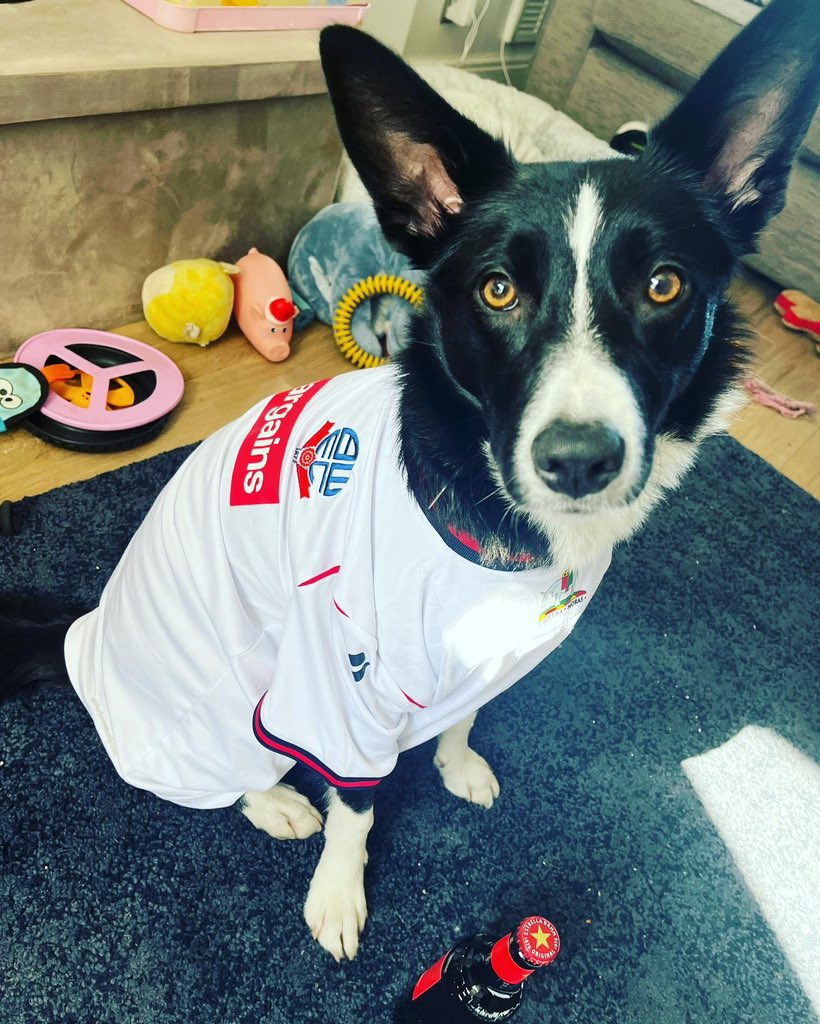 DonnaFielding1's tweet photo. @Cloughie_BWFC Your Girl is all ready too! Barking for Bolton today she is! Xx https://t.co/d3xwa4XeqH