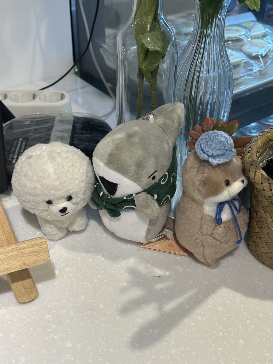 zer0t01's tweet image. 나 다시 돌아갈래

#TO1_Springtime_TOgether