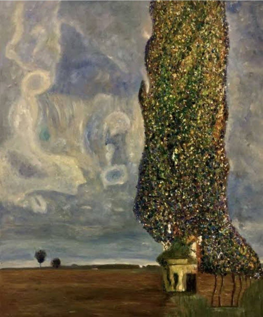 maria tontini tweet media