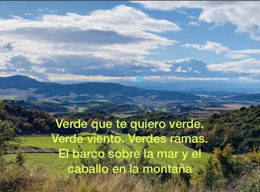 Valdizarbe: te queremos seguir viendo verde, libre de macroparques solares y de incendios!