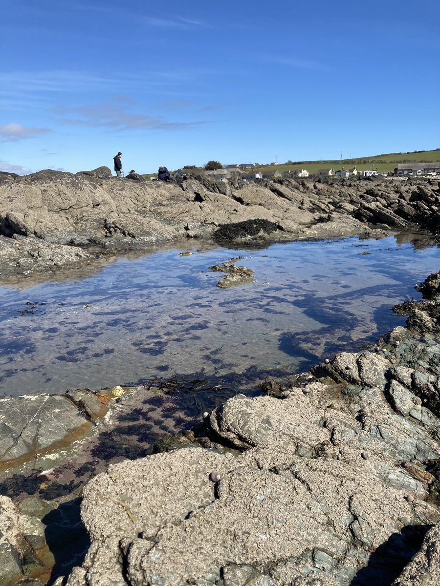 Rockpooling with a view! #BioDiv23