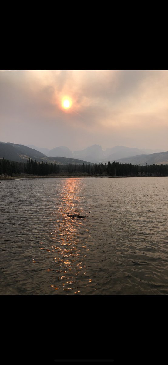 Chloe (@ilacquachloe) on Twitter photo 