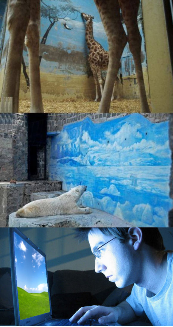 Teodor Mitew tweet media