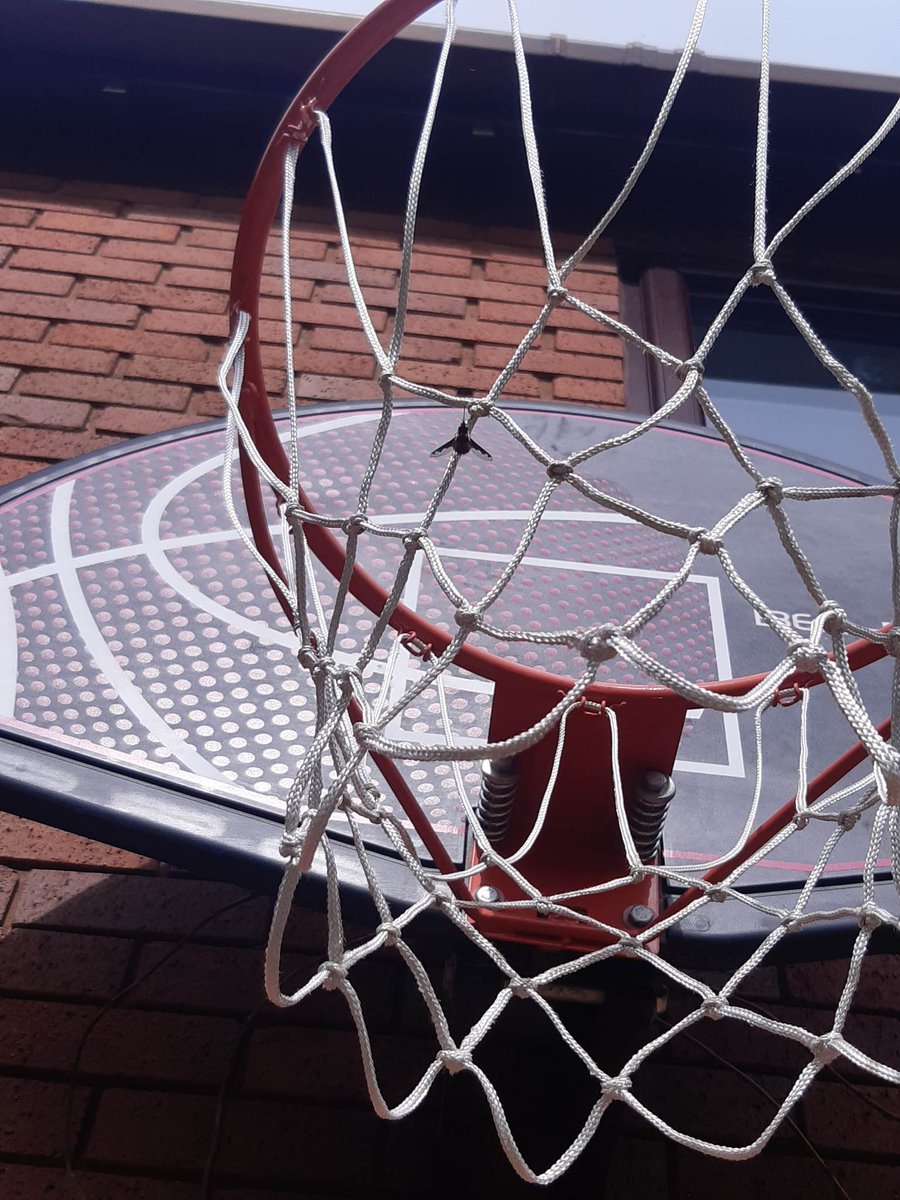 HintonPest's tweet photo. #InsectGeek got very excited today @NBLWolves A Bee Fly playing basketball! Feels like spring. 😃 #WorcestershireHour https://t.co/Ashnw3nSww