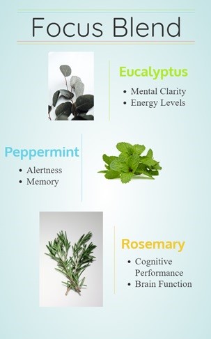 ModNaturalWorld's tweet image. In todays' fast-paced world, staying focus can be a challenge!

modernnaturalworld.com/essential-oils…

#essentialoils #Focus