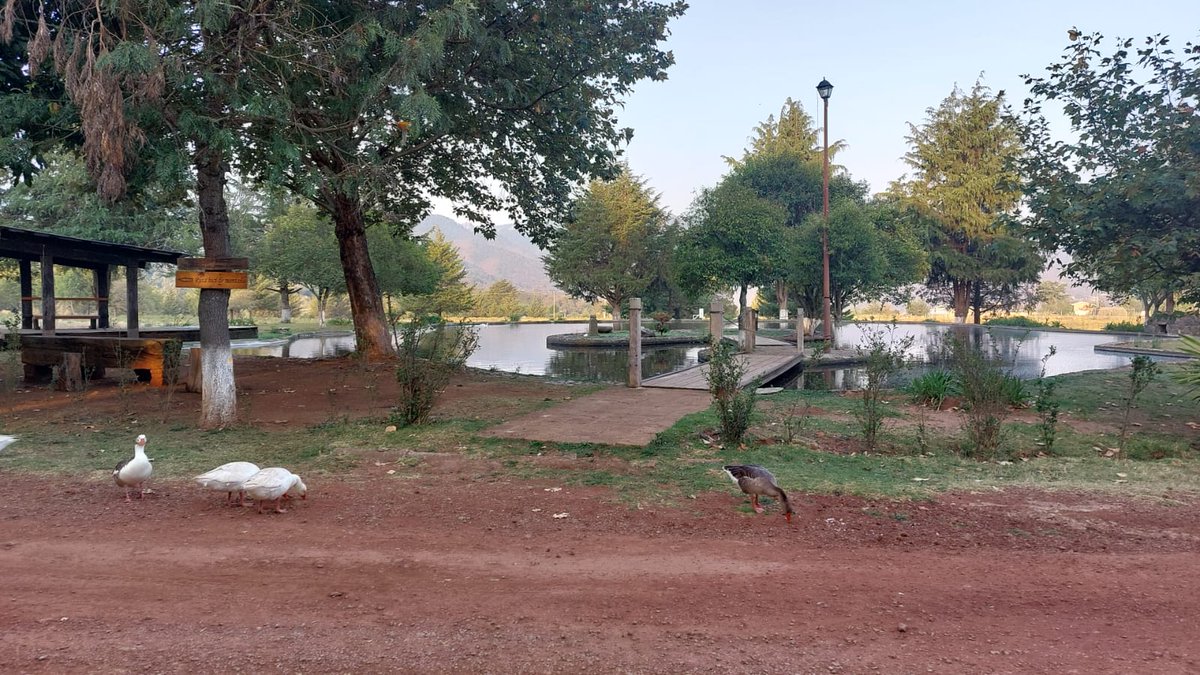 Rigoberto Valencia P tweet media