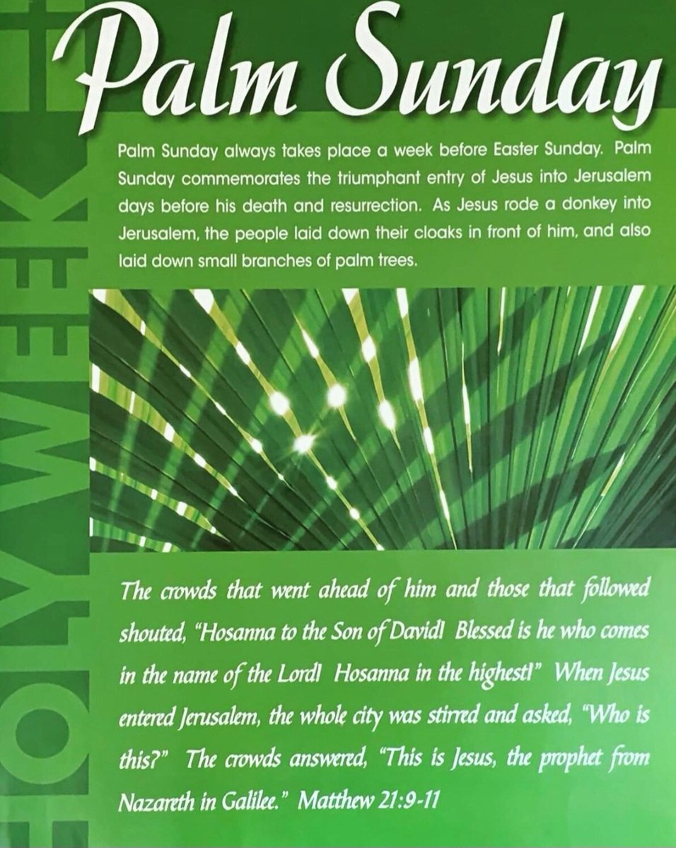 ChristianToday3's tweet photo. 🌿Palm Sunday🌿 https://t.co/78EgJSydzP