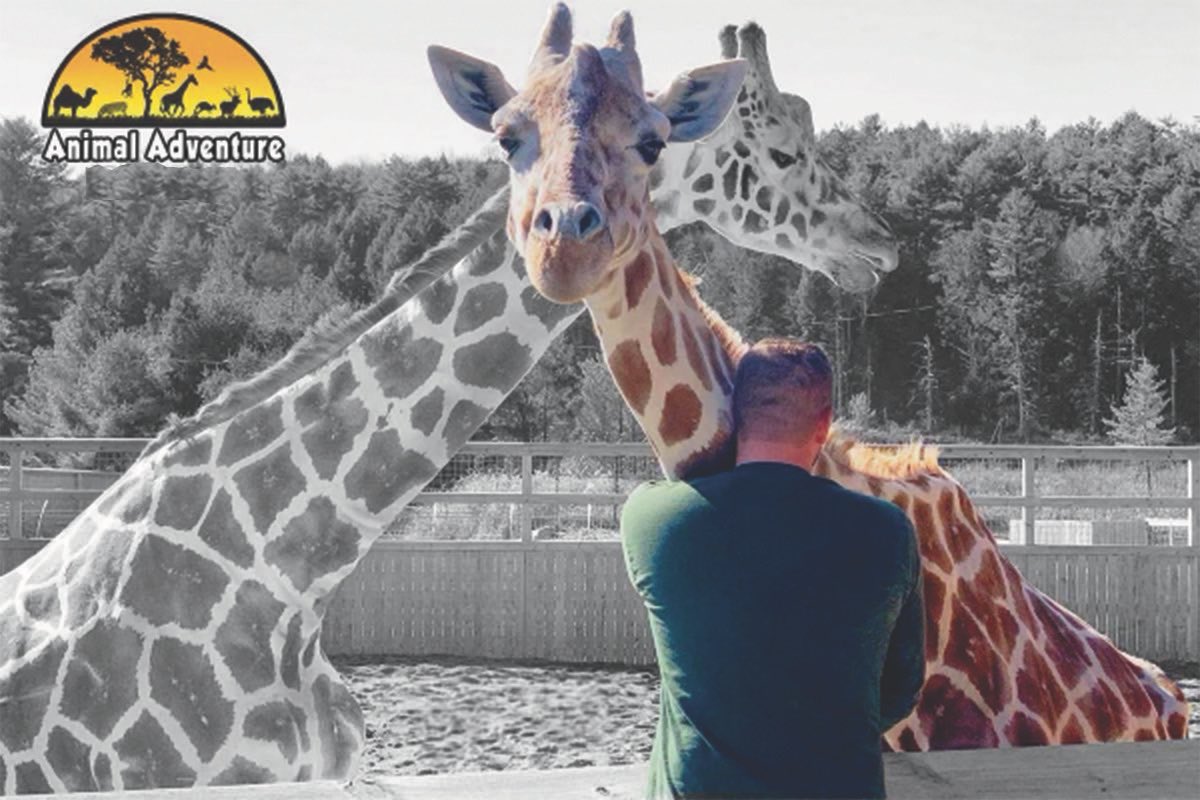 Animal Adventure Park tweet media