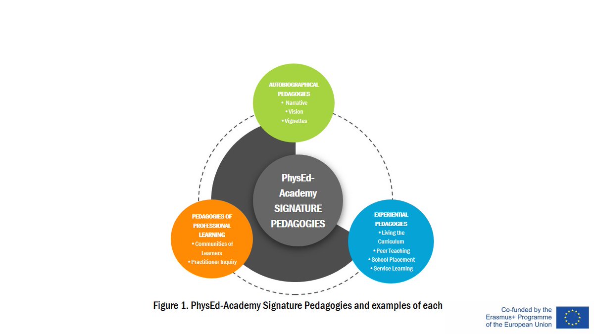 PhysedA's tweet image. Signature pedagogies are the forms of teaching that leap to mind when we first think about the preparation of members of particular professions (Shulman, 2005) #PhysEdAcademy #teacher #education #pedagogy
