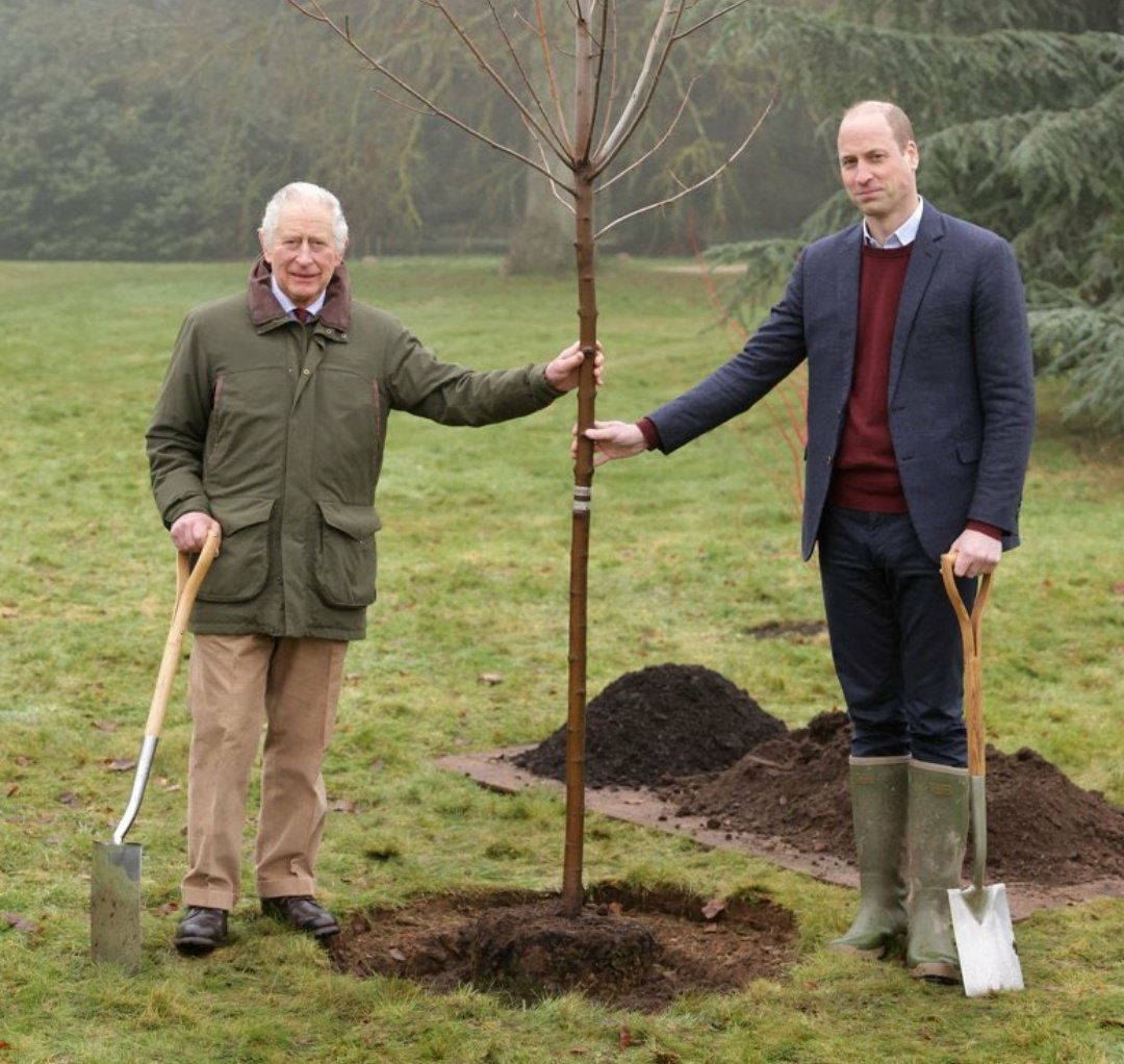 Bacardi Oakheart tweet media