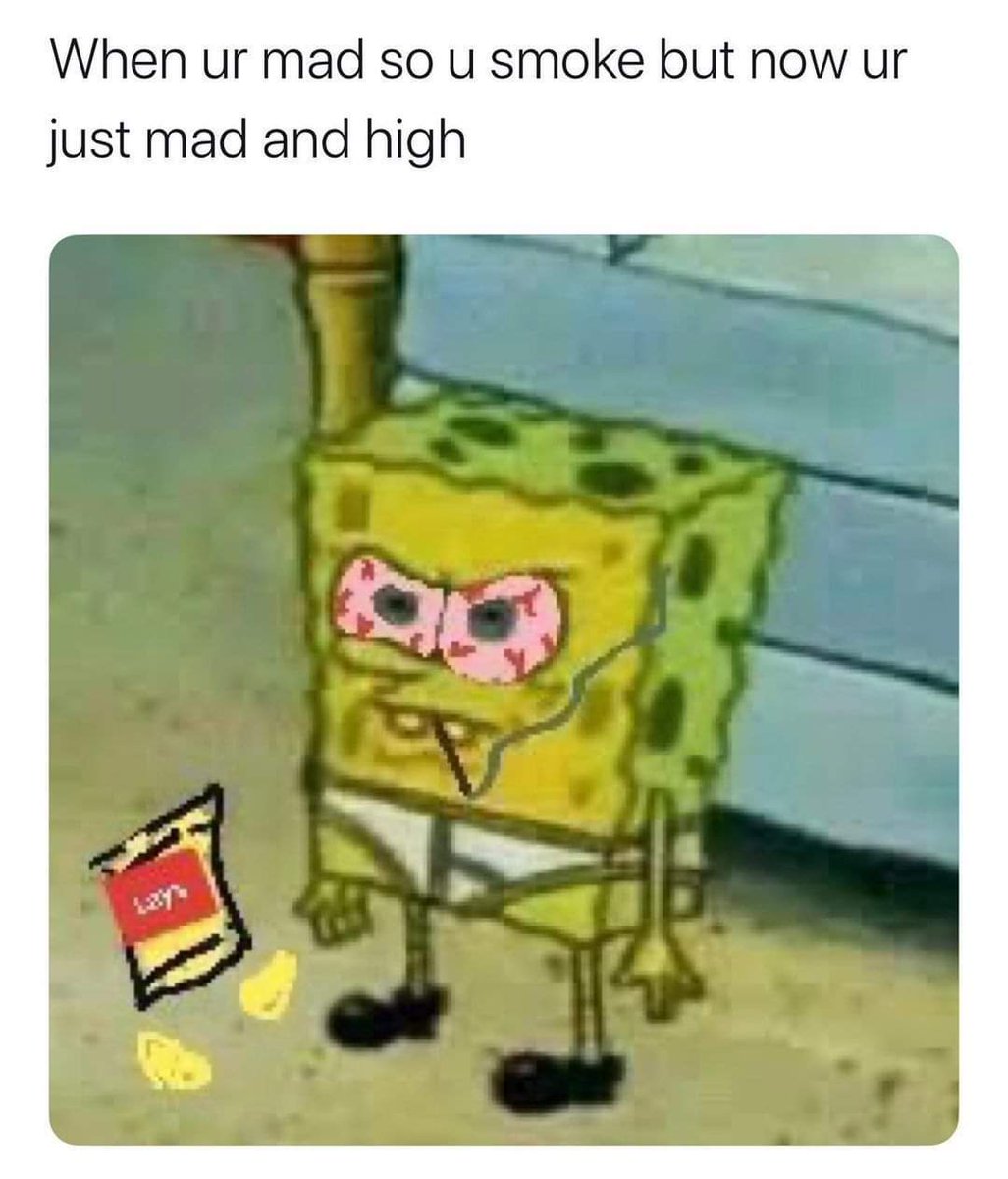 brea🕷 tweet media