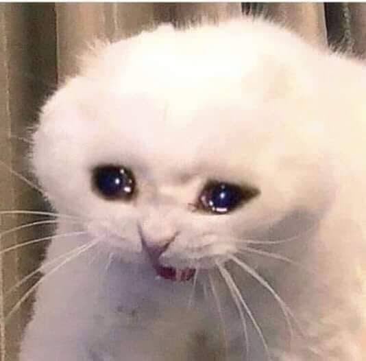 🥺☹ wff!!! Omer le iba proponer matrimonio enserio...
Ya entiendo ese anillo es el verdadero el que tiene Perla Negra osea el Zehra por eso dice Omer que tiene algo que le pertenece 
#ZehMer #OyunZamanı #Teşkilat