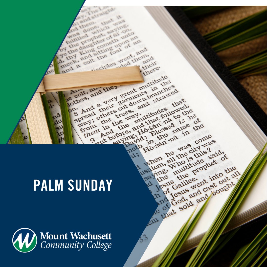 ECDEMWCC's tweet photo. 🌿To all celebrating, we wish you a blessed Palm Sunday!
#PamSunday #HappyPalmSunday https://t.co/TqpjW15Ndp