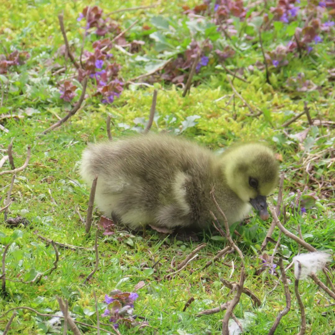 Kit D 💎😷🇺🇦 #BusyLivingWithMets tweet media