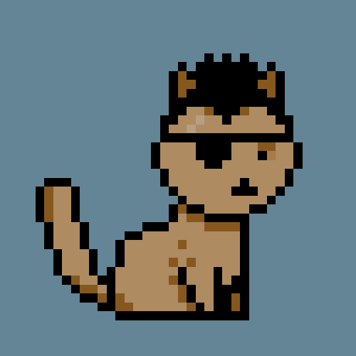 punkcatsbot's tweet photo. PunkCat #775, 2021 https://t.co/S1KmN18cFK https://t.co/v9agTAn7uH
