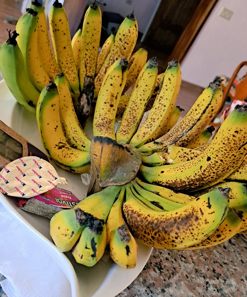 L"effort de survie..malgre la sechesse, la figue banane a fait de son mieux!