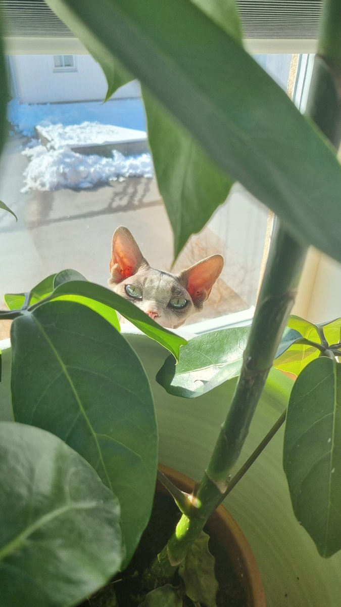 You that feeling that someone is watching you ...