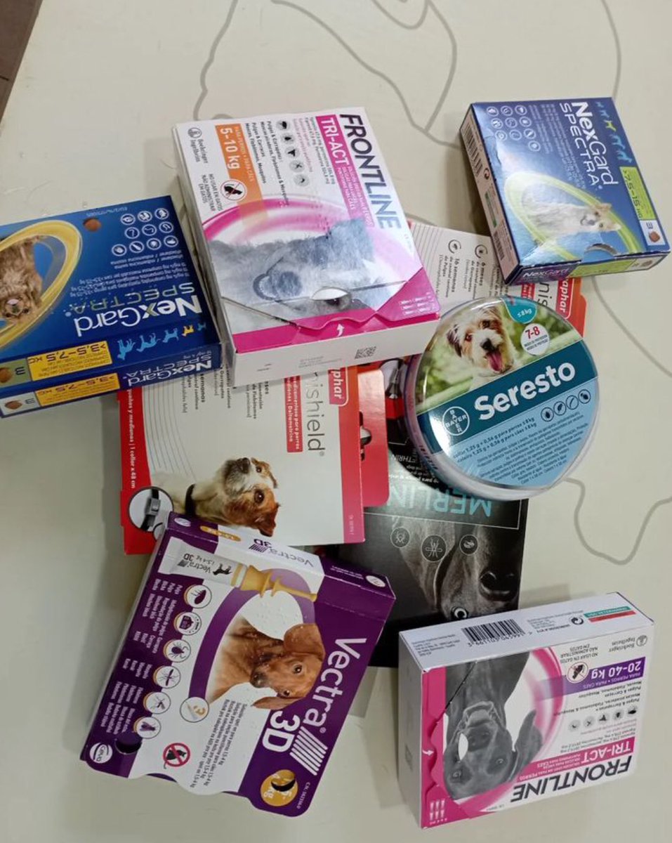YA ESTAN AQUI: LAS PULGAS ,LAS GARRAPATAS Y LOS MOSQUITOS .PROTEGED A VUESTRAS QUERIDAS MASCOTITAS CON COLLARES ,PIPETAS Y PASTILLAS. Porque a nadie le gusta que le piquen!🦟🪰🐛🪲