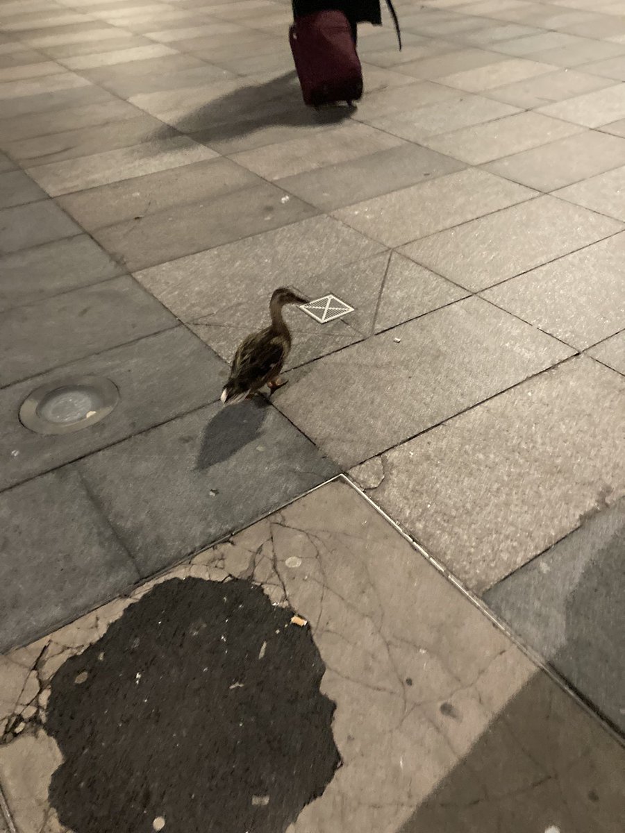 SimPanaser tweet media