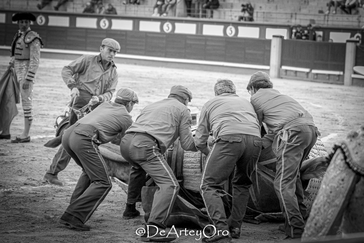 burladerotv's tweet photo. FESTEJOS.- Retratos del Domingo de Ramos en Madrid #LasVentas @LasVentas #DomingoDeRamos #Cuadri #Pallares @EsauFernandez @DeTorresAdrian @GomezdelPilar @Lucasgut0512 @dearteyoro https://t.co/RFVmnsai1K https://t.co/qFnxWQIY1V