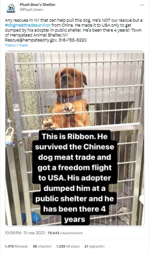 NamiKim_DogsSK's tweet image. We see so much interest about China's dogs. More than 1400 rt for this tweet, our tweets are already a lot if they get 20 rt.
We're investing a lot of efforts to have international support, but no results.
Can someone explain to us why there is little compassion for Korean dogs?