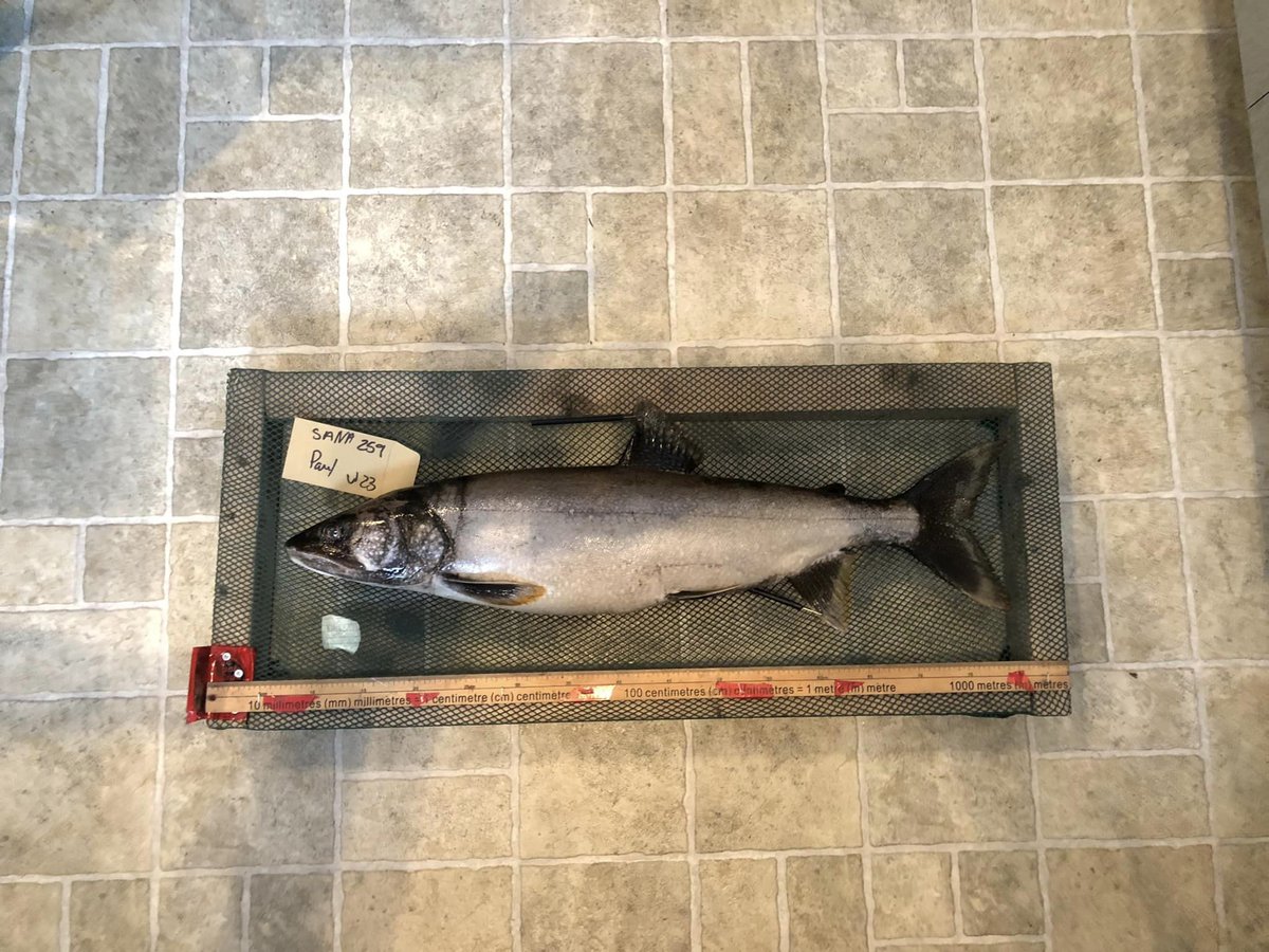 CRÉA_CC tweet media