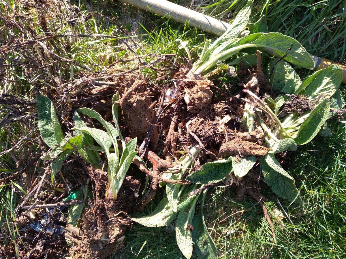 Jason Snyder tweet media