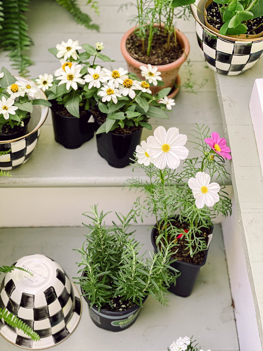 Do you have a green thumb?🌱  Add exceptional style to the garden or porch this season while perfecting your new hobby!👏  Shop all outdoor items here: bit.ly/3JNoo3T