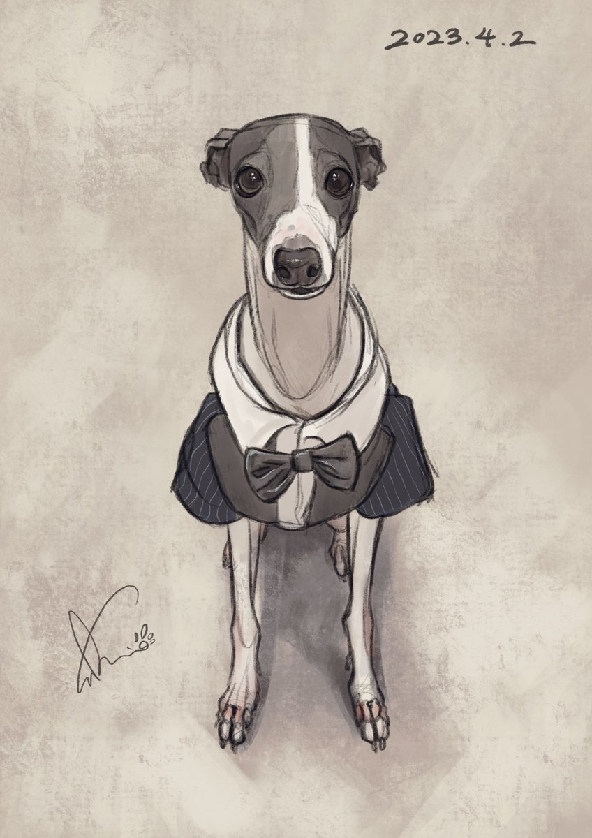 「今日の愛犬を描きました。リングドッグを頑張ってくれたふーちゃん。 」|sakio🐾書籍「4ステップで誰でもかわいく描ける いぬとねこのイラスト練習帖」発売中🐾のイラスト