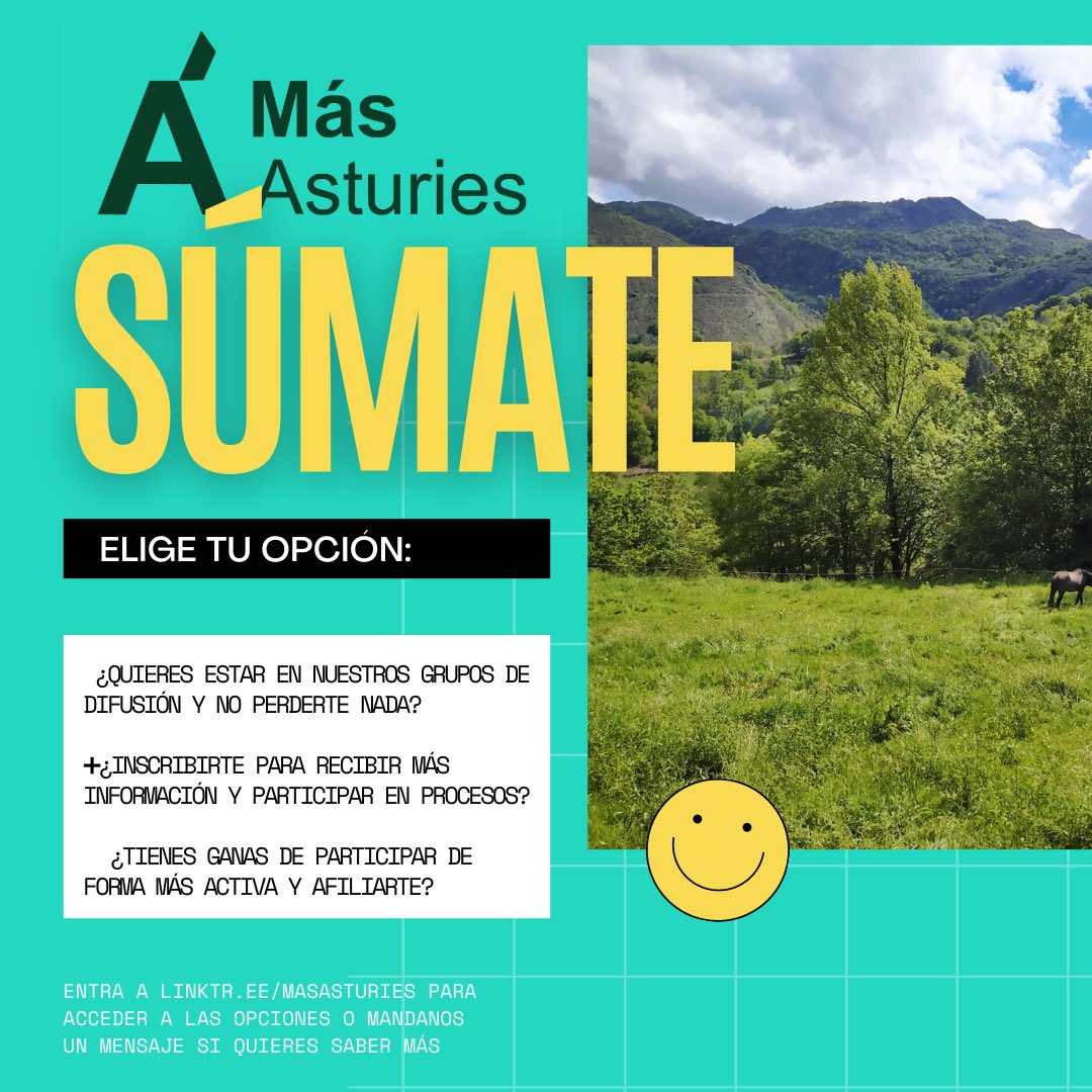 Más Asturies 🇵🇸 tweet media