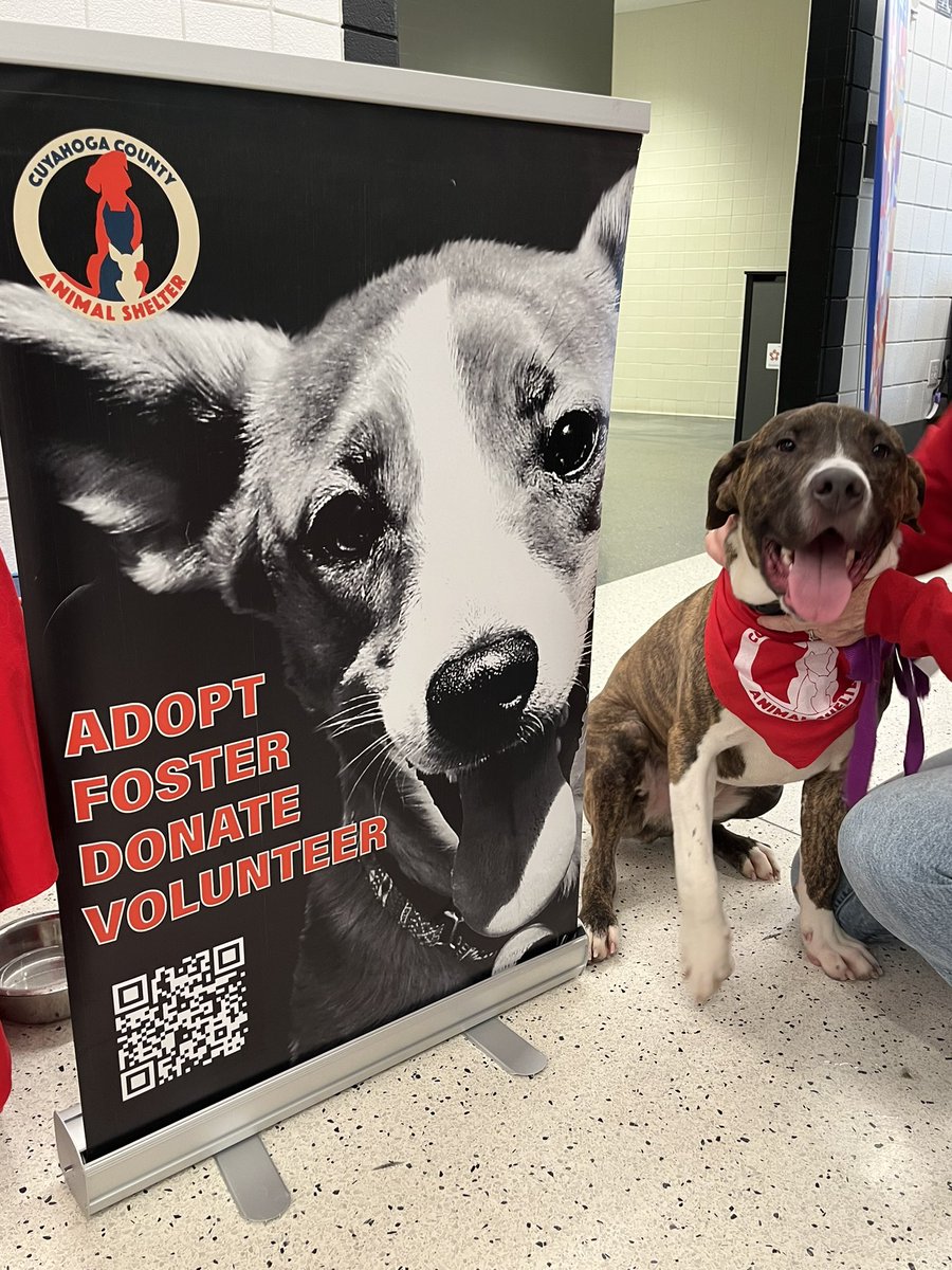 We’re here at <a href="/monstershockey/">Cleveland Monsters</a> for #PucksAndPaws!! Come say hi to Velma, Flopsy, and Patch Adams at portal 19!! 🐾 🏒 @RMFieldHouse