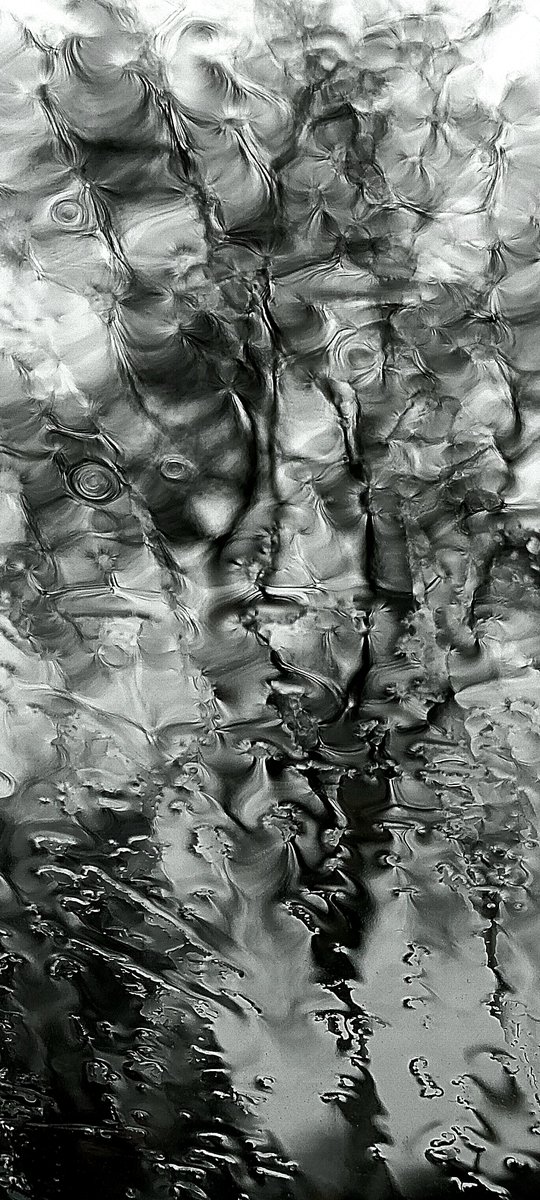 HoldingPeter's tweet photo. Sitting in the car looking out in the rain.
Tree Face. https://t.co/wMREECQJhh