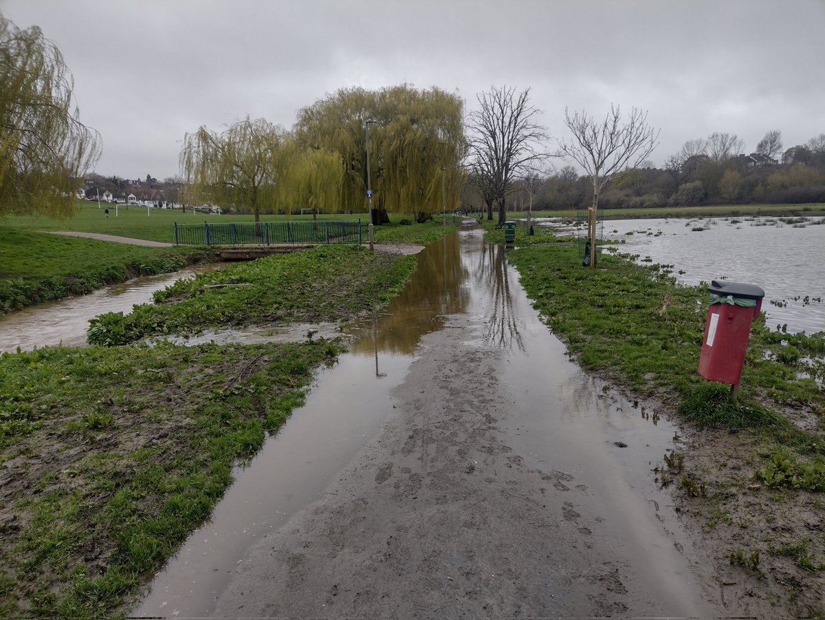 oakhillparkrun's tweet photo. A busy day at Oak Hill yesterday with a flood on the A course meaning the B course was called into action.

We had:

👍 249 brave runners/joggers/walkers
💜 20 wonderful volunteers
1️⃣ 63 first timers
👏 8 of whom were doing their first parkrun
🎉 9 PBs

#loveparkrun https://t.co/qIArfRthPQ