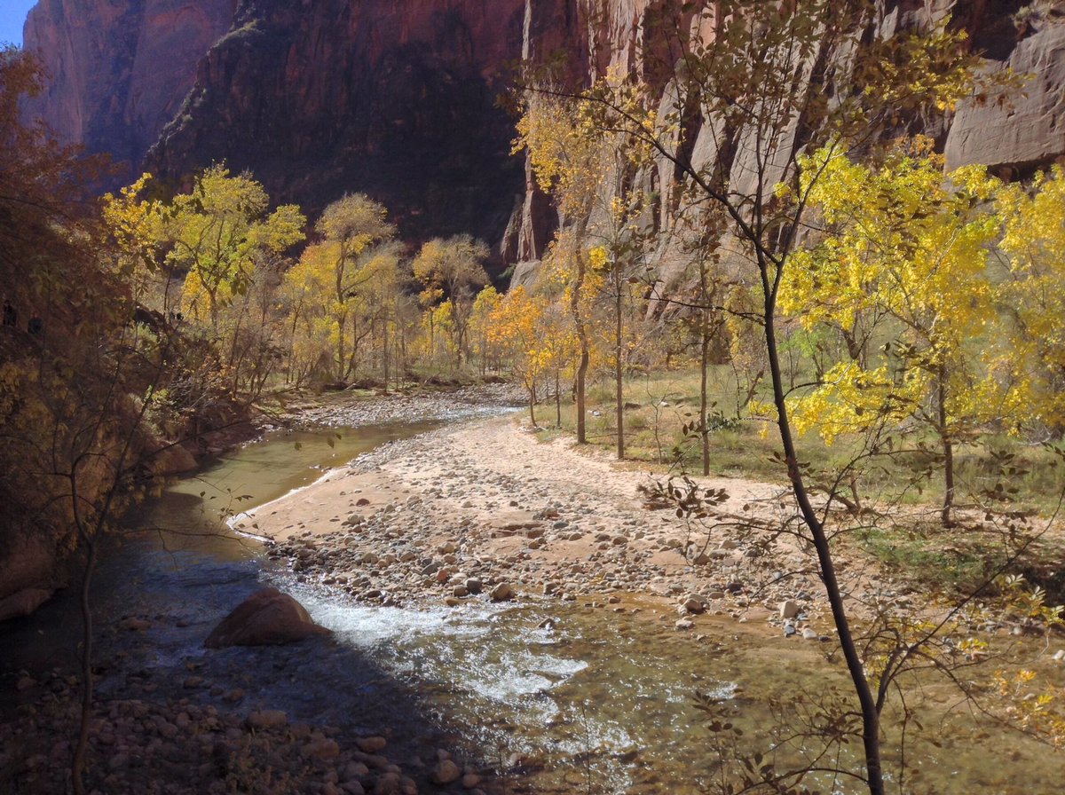 jwfelder's tweet photo. Zion National Park https://t.co/HFNytw6B1o