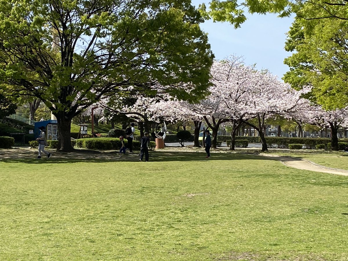 pie76826111's tweet photo. @BKR0ljxIaisMavI 阪神電鉄、球団は尼崎市の土地に建て、硬式球場、練習場はタイガース専用利用営業し利益は尼崎市に入りません。借地料も払いません。選手寮施設の税金も一旦払うが尼崎市は補助金として返します。もうこれ以上切らないでhttps://t.co/J908OdmLE7 満開の���も伐採　#タイガース #樹木伐採反対���#阪神電鉄 https://t.co/DvJ5hy1b1g