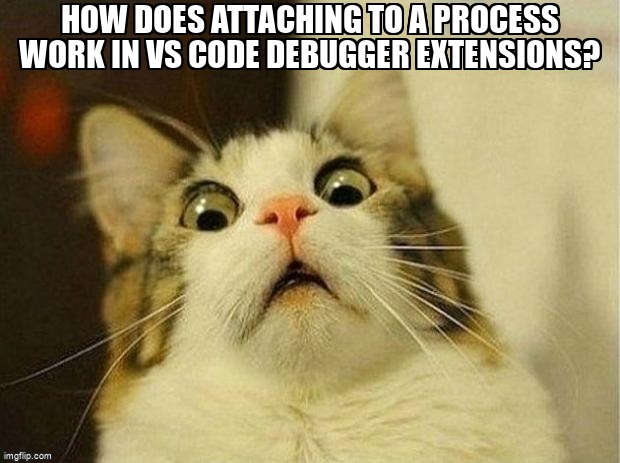 overflow_meme's tweet image. How does attaching to a process work in VS Code debugger extensions? stackoverflow.com/questions/7590… #visualstudiocode #pythonextensions #gopython #debugging