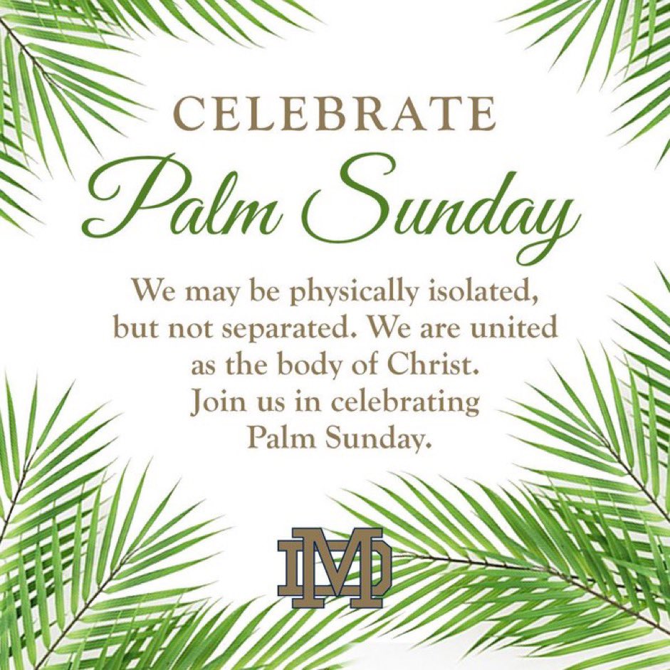 One of the most important days in the #Christian world 

#PalmSunday2023 
#PalmSunday