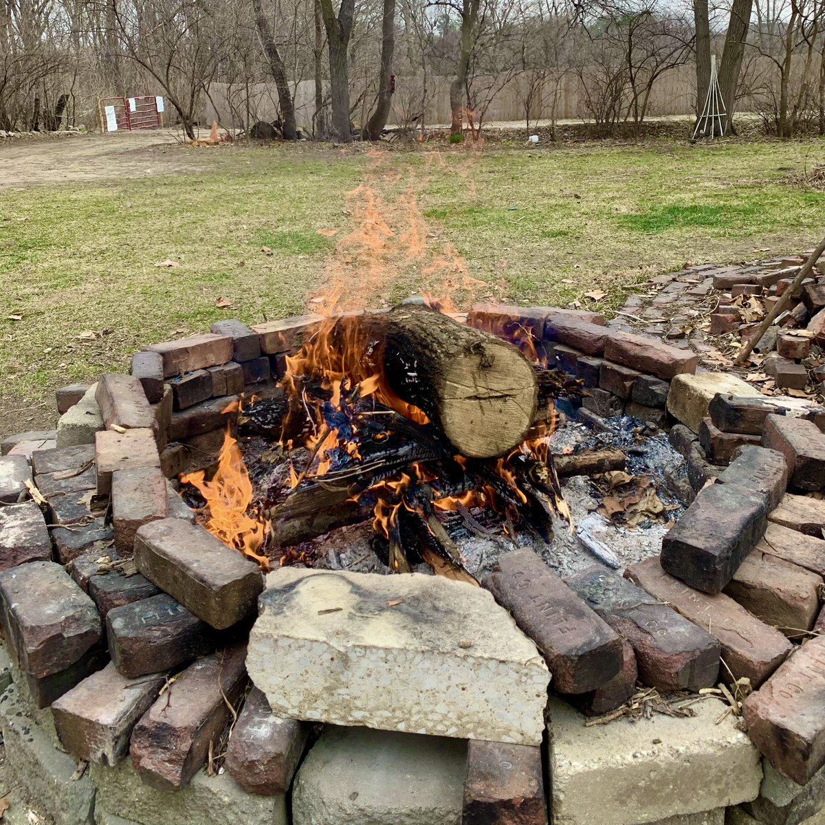 BrianHoff7's tweet photo. Great way to start a #NASCAR  Sunday! Now be a greater day if @budweiserusa would deliver an ice cold 12 pack!!! #campfire https://t.co/UEH713QtuT