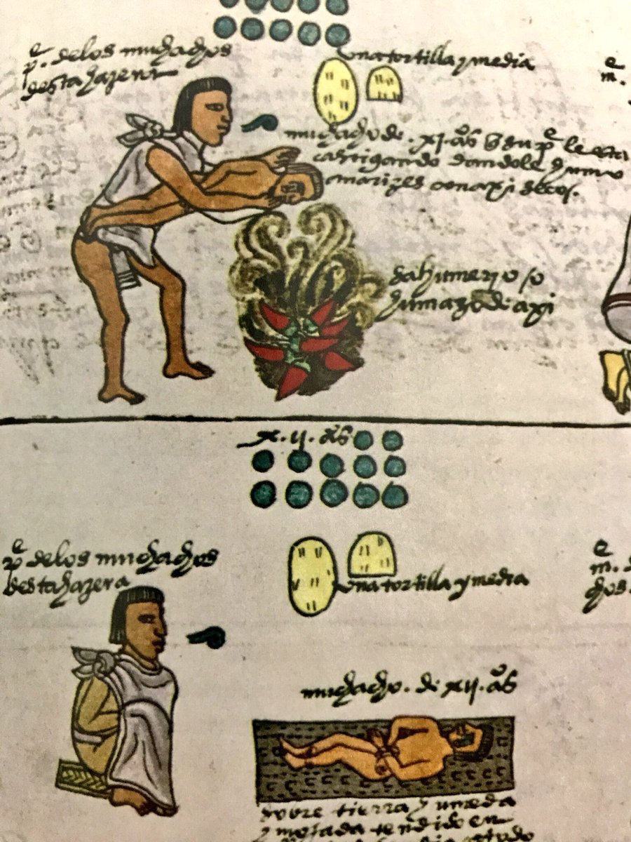 Tienes un hijo que no quiere ir a la escuela o que se porta mal? Tienes una hija que saca puro 6 en la escuela? Los antiguos mexicas castigaban a sus hijos problemáticos de esta forma: poniéndolos a oler chiles quemándose. Esto cuando tenían 11 años de edad  y consumían una