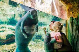 Ryan Mayes tweet media