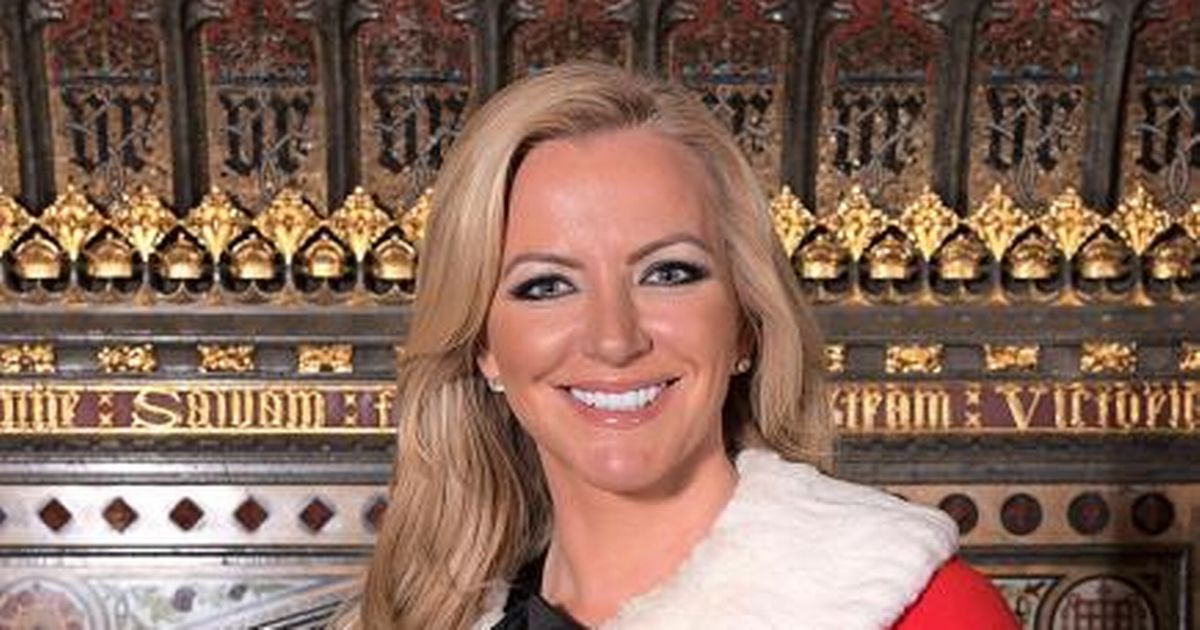 If you want to see Michelle Mone kicked out of the House of Lords and arrested until she pays the £136,000,000 she owes give this a RT.