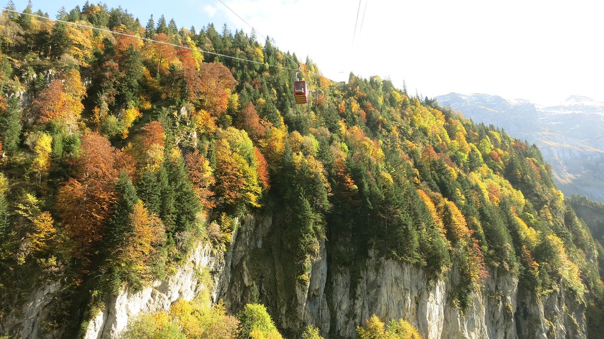 funiculars-switzerland-standseilbahnen-ch-on-twitter-a-cable-car-in