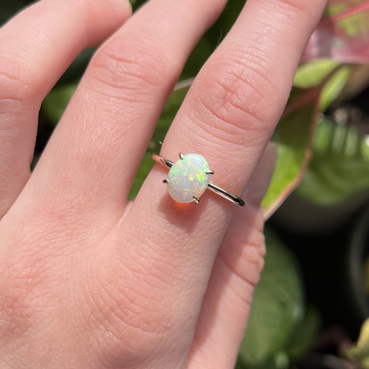 amanda• tweet media