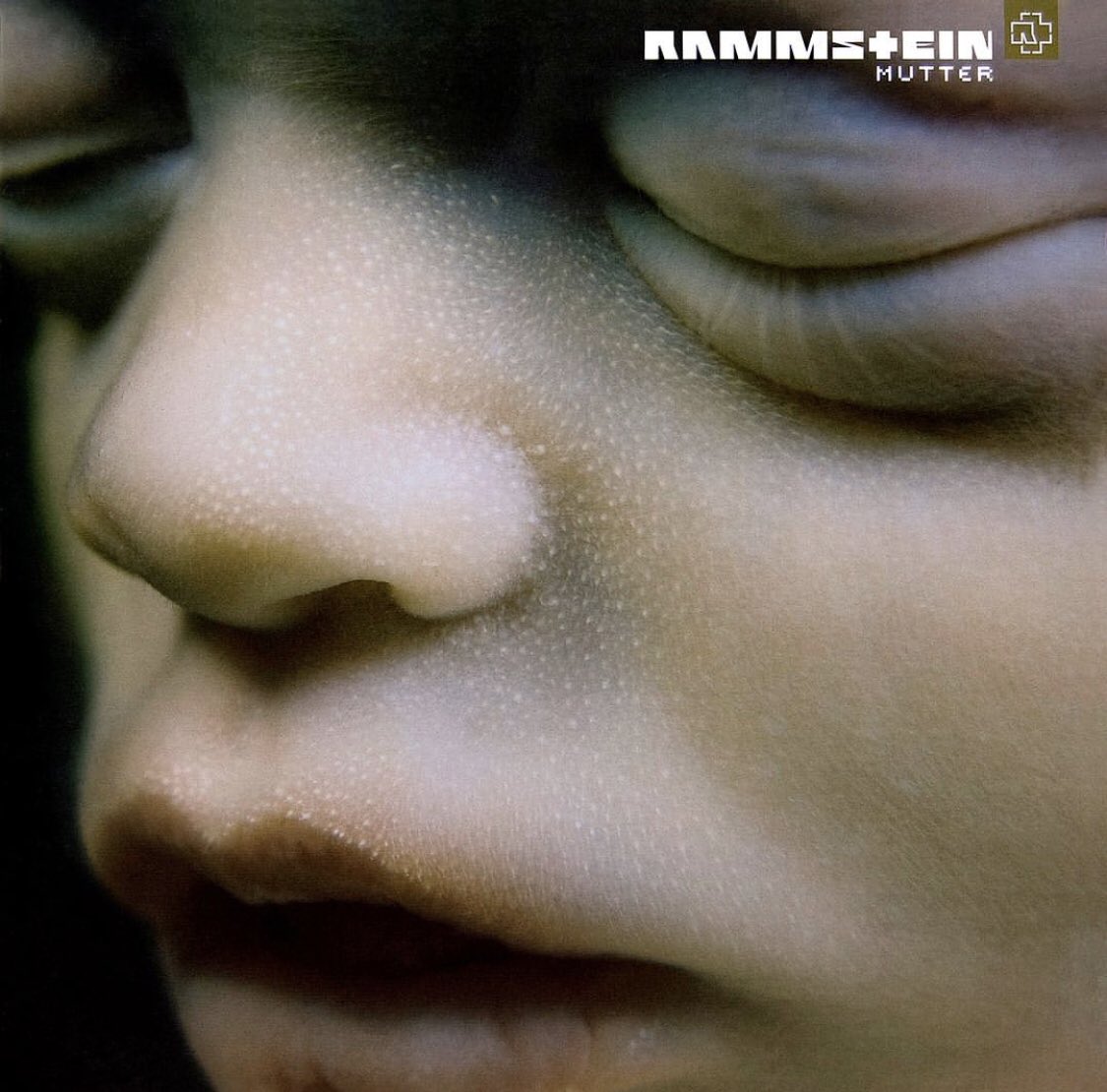 rammarchive's tweet photo. On this day, 22 years ago, Mutter was released! https://t.co/CEdZIH5VoZ