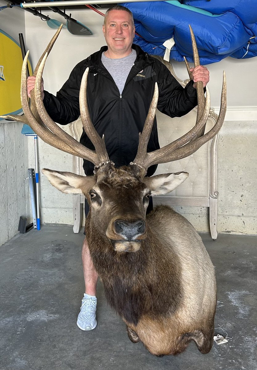 CoachMac_1's tweet photo. After 16 months of waiting look at what finally arrived while I was on spring break!
Where do we hang it🤔
Guaranteed “for productive discussions” coming very soon at the house 😂
#FirstElk
#Elkhunting
#MountedElk https://t.co/3C7vYv4DDI